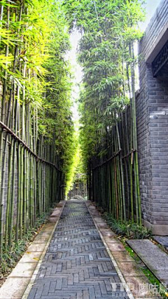 扶风贤哲采集到景观空间-住区景观-巷道&宅间