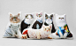United Bamboo Catclub 2014 : We designed a capsule collection for United Bamboo's Catclub. The collection includes a 2014 calendar shot by Noah Sheldon, life-size cat pillows, a stationery set and foil stamped stickers and wrapping paper.