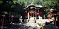 The area inside a Japanese Shinto shrine, Moto Nakamura : This is Japanese Shinto shrine which is near by my house.
These pictures were captured on Unreal Engine 4.