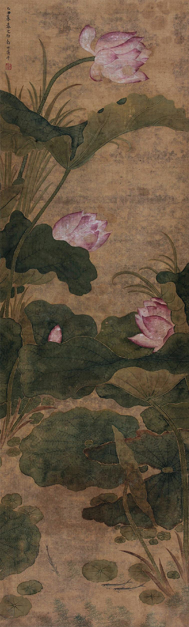 恽寿平——《荷花》【乙丑暮春之初】荷花游...