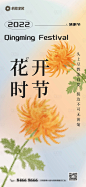 清明节菊花海报-源文件