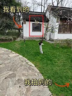 我看到的VS我拍到的｜南京春日壁纸限时上新 - 小红书