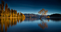 The Wanaka Tree by Sue Black on 500px #壁纸# #网页#
