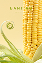 静物摄影丨玉米