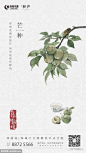 芒种地产广告精选