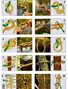 教你打10种最有用的绳结
