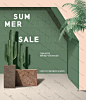 热带耐旱植物夏日促销优惠家居海报图片海报设计家居室内首页素材