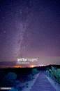 在夜空中的星星，摩押，犹他州，美国：图片
