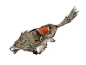 狼