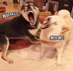 咋回事呀小老弟采集到表情包