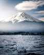 富士山