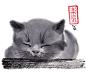 Original Sumi-e Brush Painting "Sleepy Kitten" - Japanese art - bamboo brash on rice paper/ Etsy