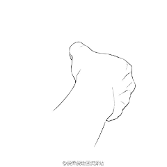 NewLifeY采集到漫画