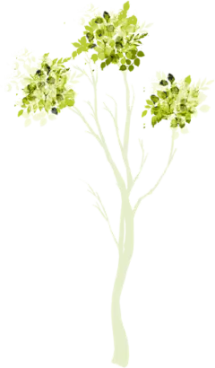 #草类# #植物PNG# #PNG素材# #绿叶# #藤蔓# #叶子PNG# #花朵# #薰衣草# #玫瑰# #花PNG#
