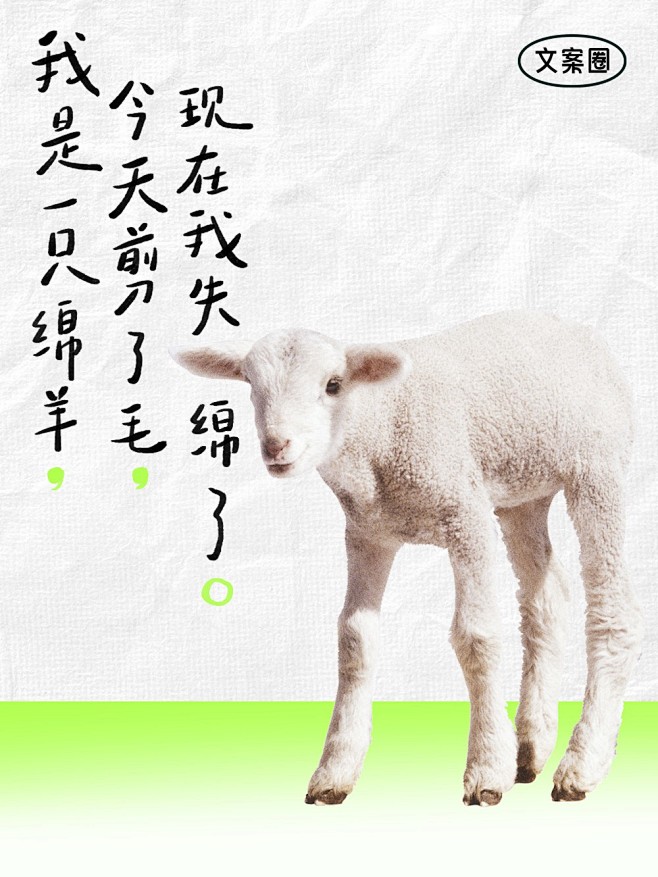 向全世界宣布：今天不当人类了！