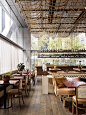 Glorietta餐厅，悉尼 / Alexander &CO. : 质朴柔和的意大利餐厅