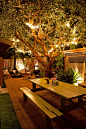 Garden lights aglow. The couple has designed the yard for entertaining. But at a certain point in the evening, it seemingly becomes something else: the couple’s private nightclub.: 