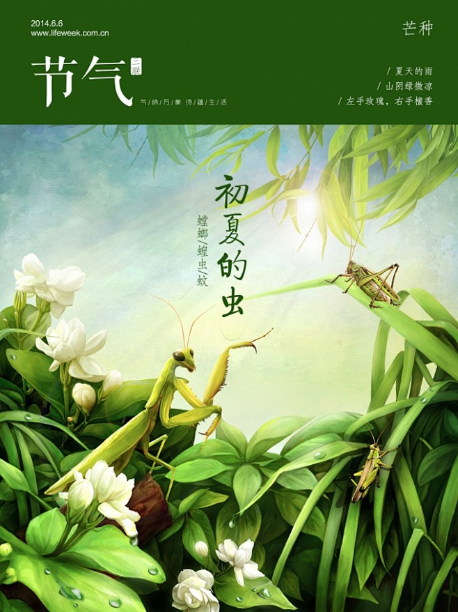 芒种 - 三联生活节气刊