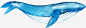 手绘卡通蓝色鲸鱼 页面网页 平面电商 创意素材