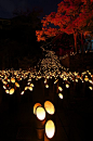 Bamboo Lantern Festival, Taketa, Oita, Japan: Japan, Festivals, Bamboo Lighting, Bamboo Lantern, Bamboo Lightning, Lanterns, Lantern Festival, Photo