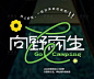 360截图20230522091516486