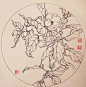 钢笔花卉白描达人叶志军先生的钢笔画分享