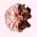IRR_EDP_Ingredients_Desktop_180kb.jpg (1092×1458)