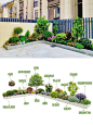 夏季懒人花园系列清单丨低维护花坛植物搭配