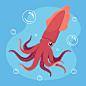 Hand drawn squid illustration