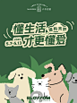 一大波人类幼崽与毛毛幼崽即将来袭