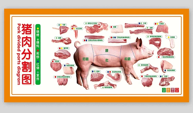 猪肉分割图猪肉部位图海报-花瓣网