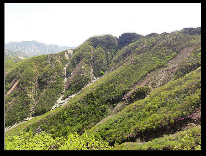 长恨春归无觅处 不知转入此中来——老帽山...