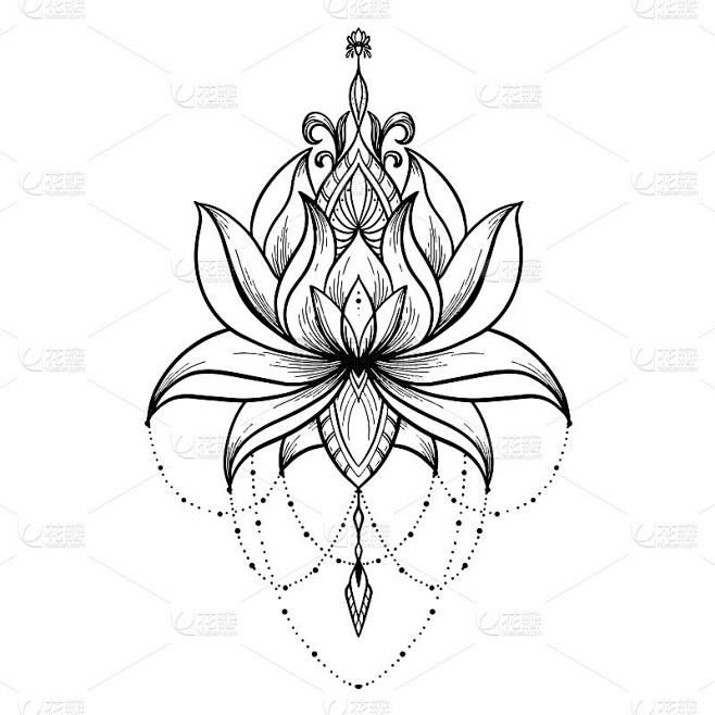 银丝荷花，黑色矢量，手绘