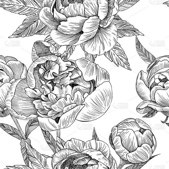 牡丹花叶无缝花纹。图形。雕刻。手绘