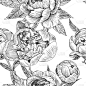 牡丹花叶无缝花纹。图形。雕刻。手绘