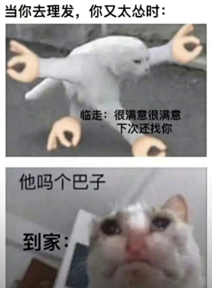 行走世间的都是妖怪怪采集到表情包