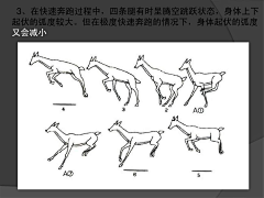 喵奇星球采集到动物