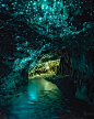 Glowworm Caves New Zealand