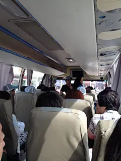 旅游大巴上,小熊爱旅游