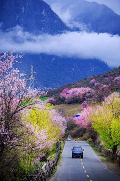 、执念-采集到景区图片