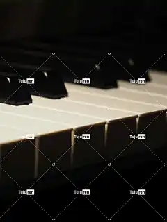 手机壁纸 钢琴 键盘 Iphone背景 音乐 关闭 黑和白