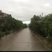 明灬雨