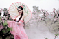 桃花美女素材 - 彼岸桃花 - .