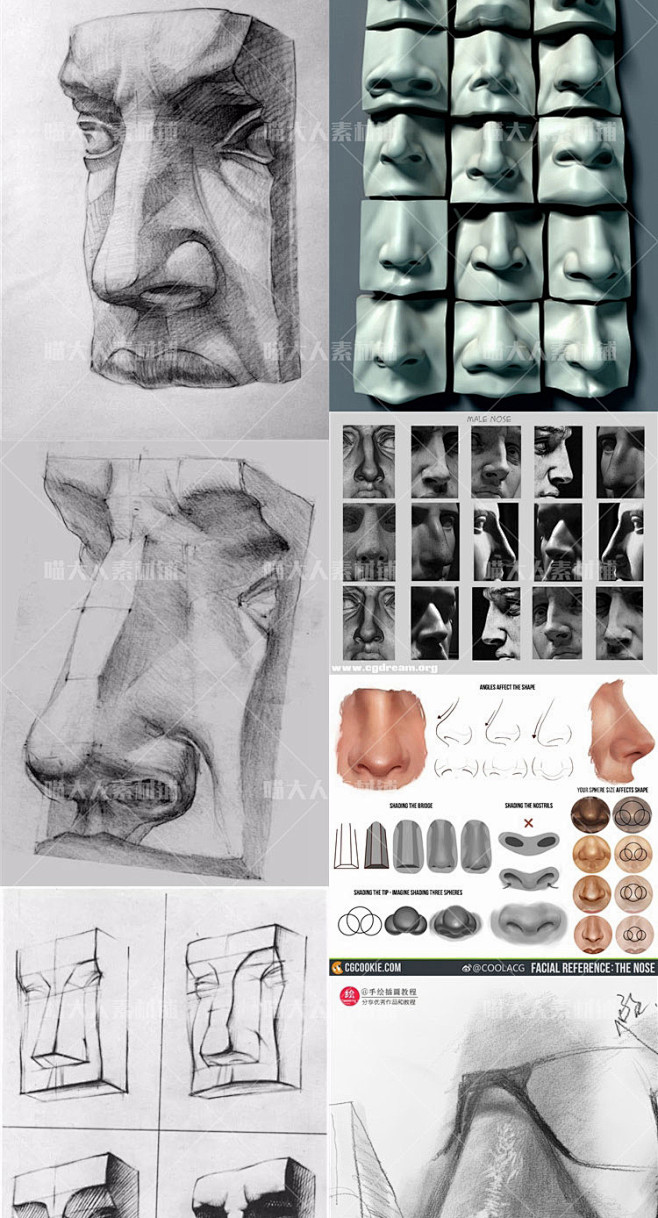 人物鼻子线稿绘画资料图片集 人体五官结构...