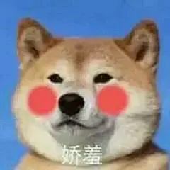 来自分享  柴犬表情包  搞笑文字图片      卡哇伊  可爱