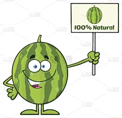 绿色西瓜新鲜水果卡通吉祥物人物呈现百分之百的自然迹象