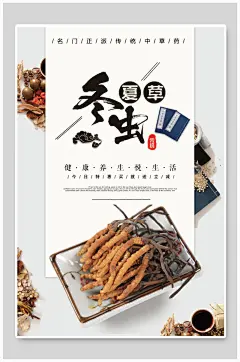 冬虫夏草中医养生海报