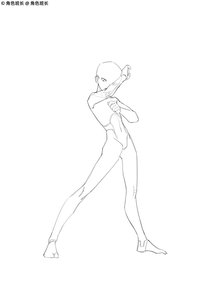 素体 (53)