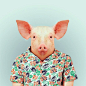 西班牙摄影师Yago Partal:穿衣服的动物肖像 《动物园肖像》（Zoo Portraits）是巴塞罗那摄影师Yago Partal创作的一个趣味摄影集。在这组照片中，他给各种可爱的动物穿上人类服装，并让它们像人一样“出现”在镜头前，留下一张标准肖像照。这些照片在展示摄影师幽默感的同时，也表现了他的个人风格和品位。从穿着冬季毛衣的黑熊，到穿着夏威夷衬衫的猪。这些动物所穿的服装都尽量能揭示它们的内心特征。