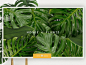 ezgif.com-optimize__9_